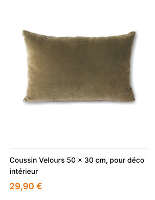 coussin velours sur mesure